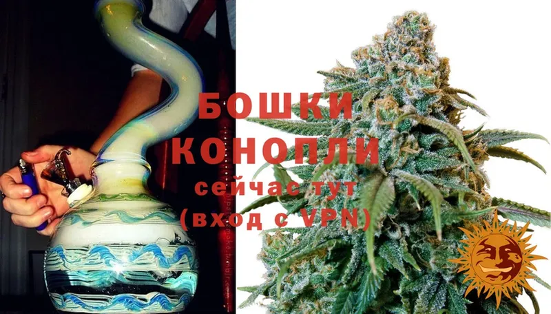 как найти закладки  Буйнакск  Конопля White Widow 